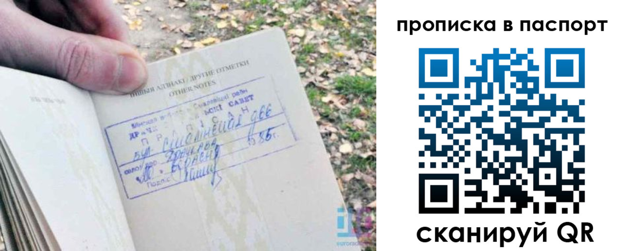 купить прописку в Новозыбкове